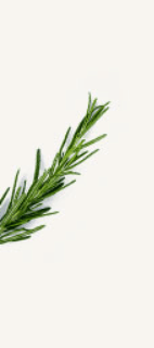 Leaf Bottom